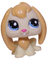 #2466 Lop Bunny